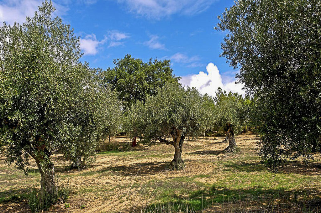 Locations Portugal - Bianca Scherr