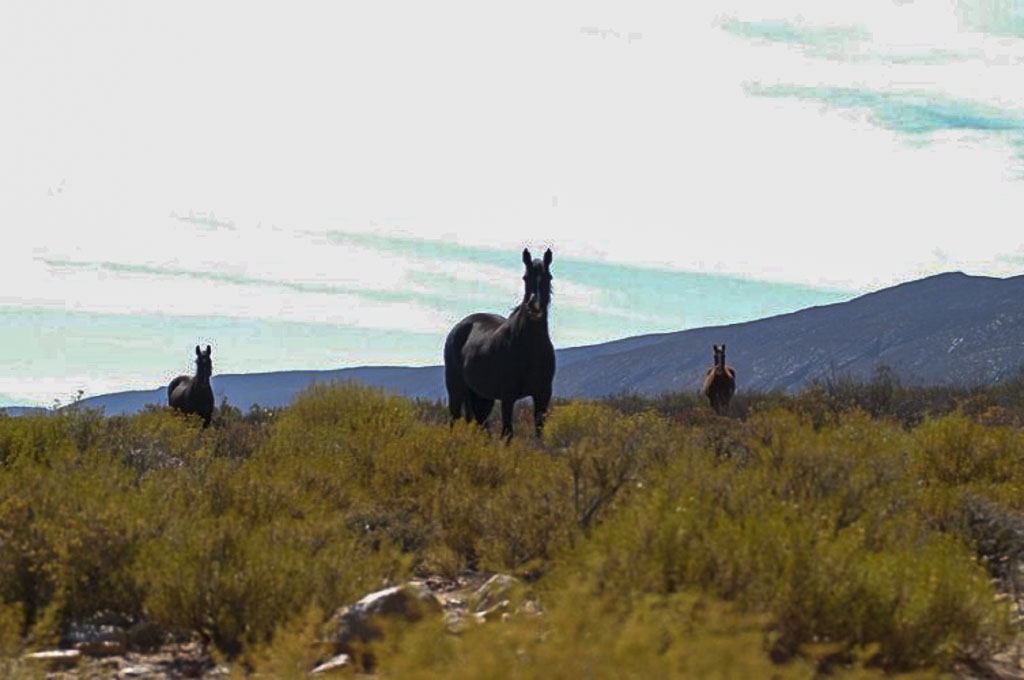Locations South Africa - Bianca Scherr