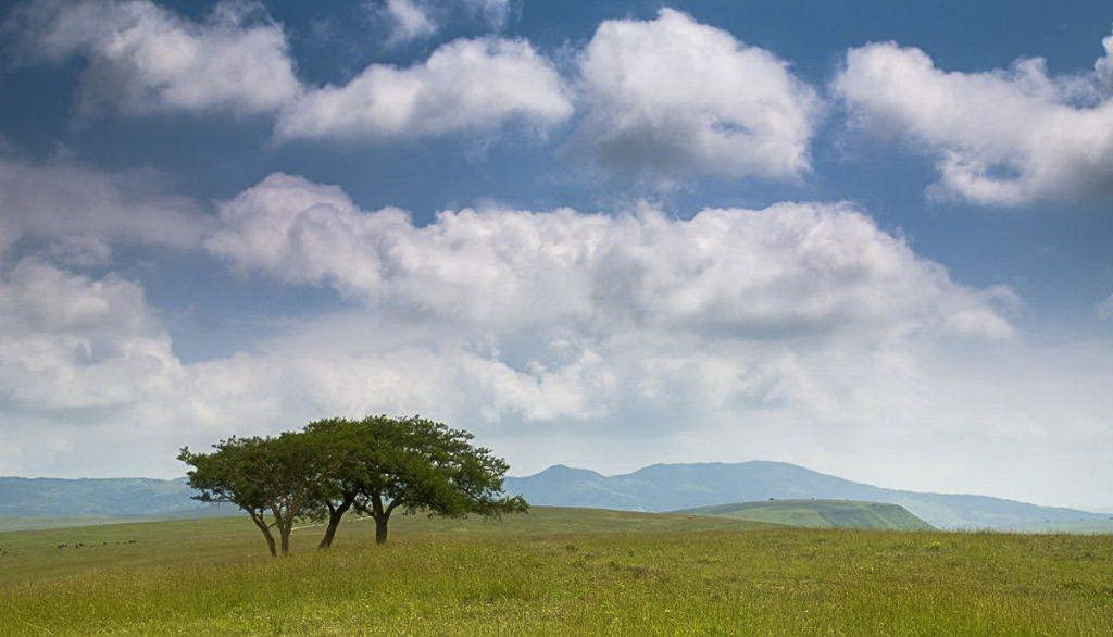 Locations South Africa - Bianca Scherr