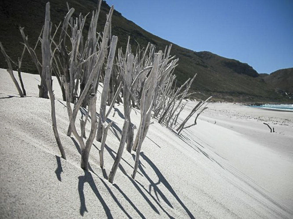 Locations South Africa - Bianca Scherr
